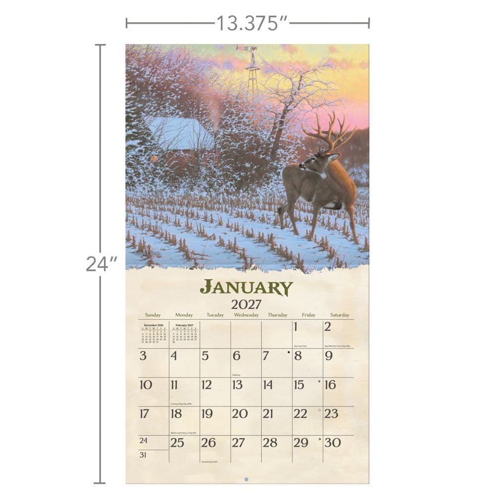 Beyond the Woods 2027 Wall Calendar by Michael Sieve Third Alternate Image