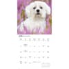 image Just Maltese 2026 Wall Calendar Third Alternate Image