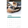 image Calico Cats 2024 Wall Calendar