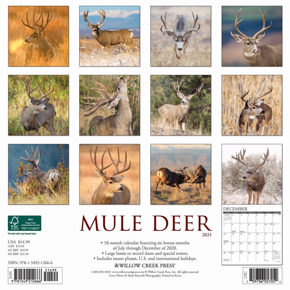 Mule Deer Wall Calendar