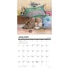 image Paws and Claws by Gary Patterson 2025 Wall Calendar