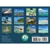 image Saltwater Flyfishing 2026 Wall Calendar First Alternate Image