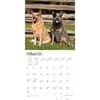 image Australian Cattle Dogs 2024 Wall Calendar Second Alternate Image width=&quot;1000&quot; height=&quot;1000&quot;