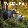 image Wildlife 2026 Wall Calendar_Main Image