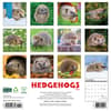 image Hedgehogs 2025 Wall Calendar First Alternate Image width="1000" height="1000"