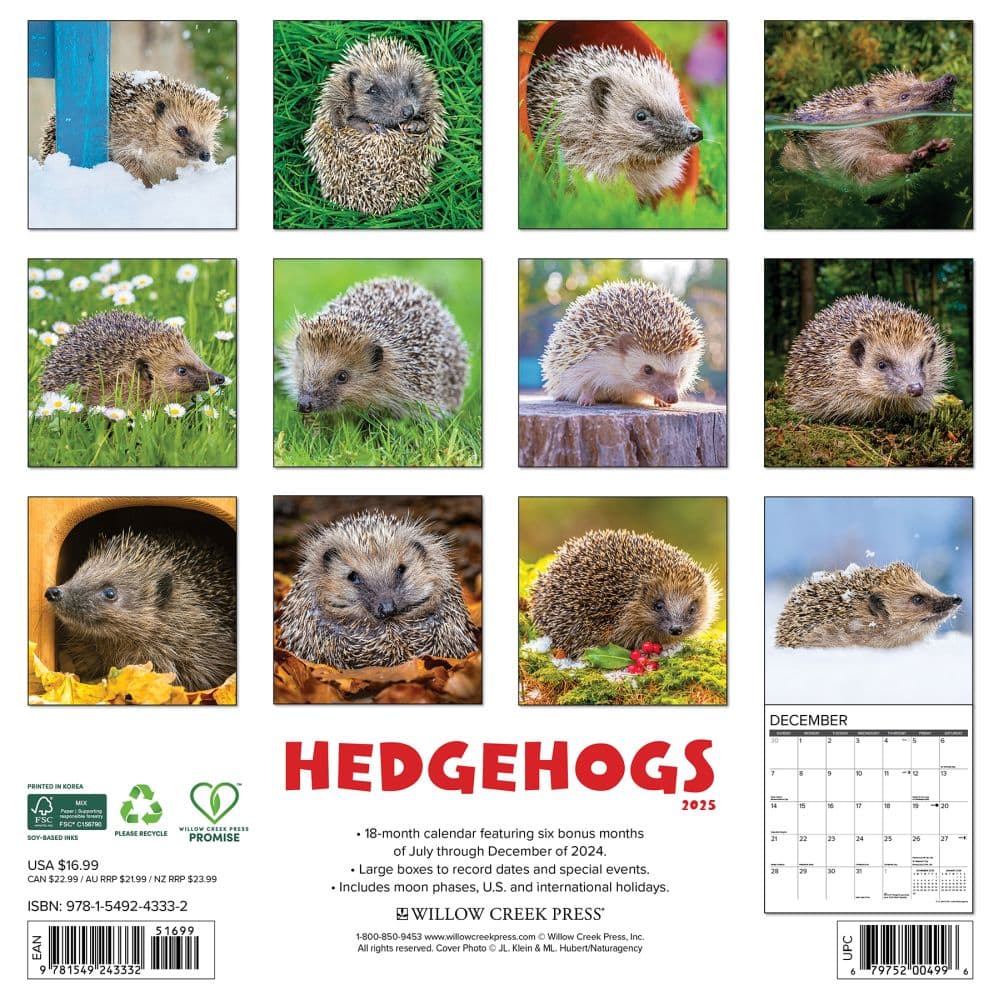 Hedgehogs 2025 Wall Calendar