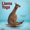 image Llama Yoga 2025 Wall Calendar Main Product Image width=&quot;1000&quot; height=&quot;1000&quot;