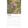 image Wolves 2025 Wall Calendar