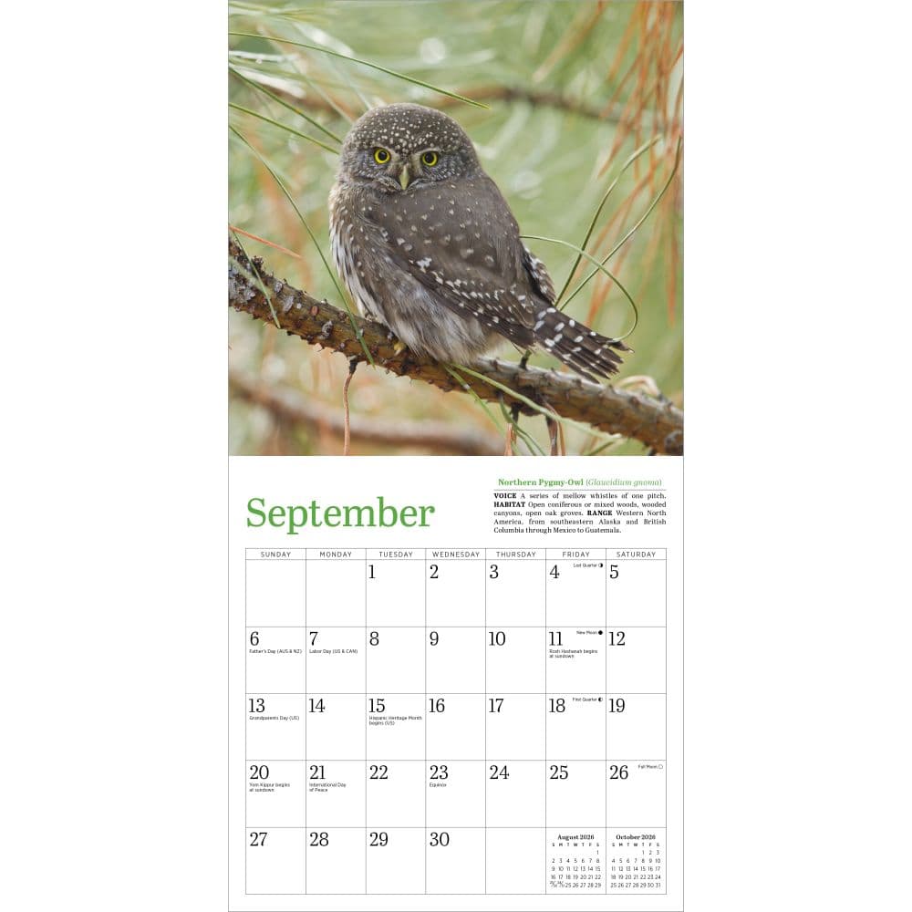 Audubon Little Owls 2026 Mini Wall Calendar Third Alternate Image