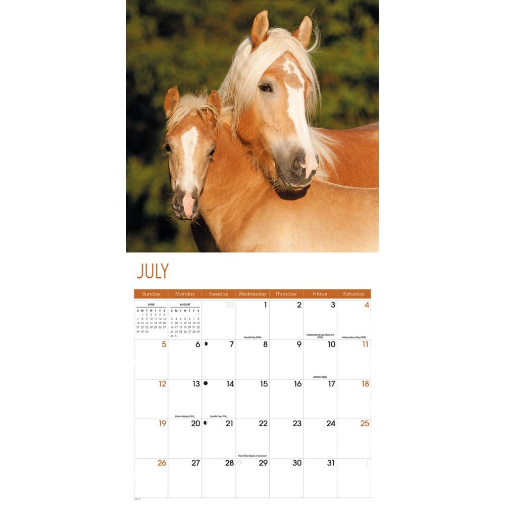 Horses 2026 Wall Calendar, 12.01'' X 12.01'', 16-Month Calendar with Stapled Binding
