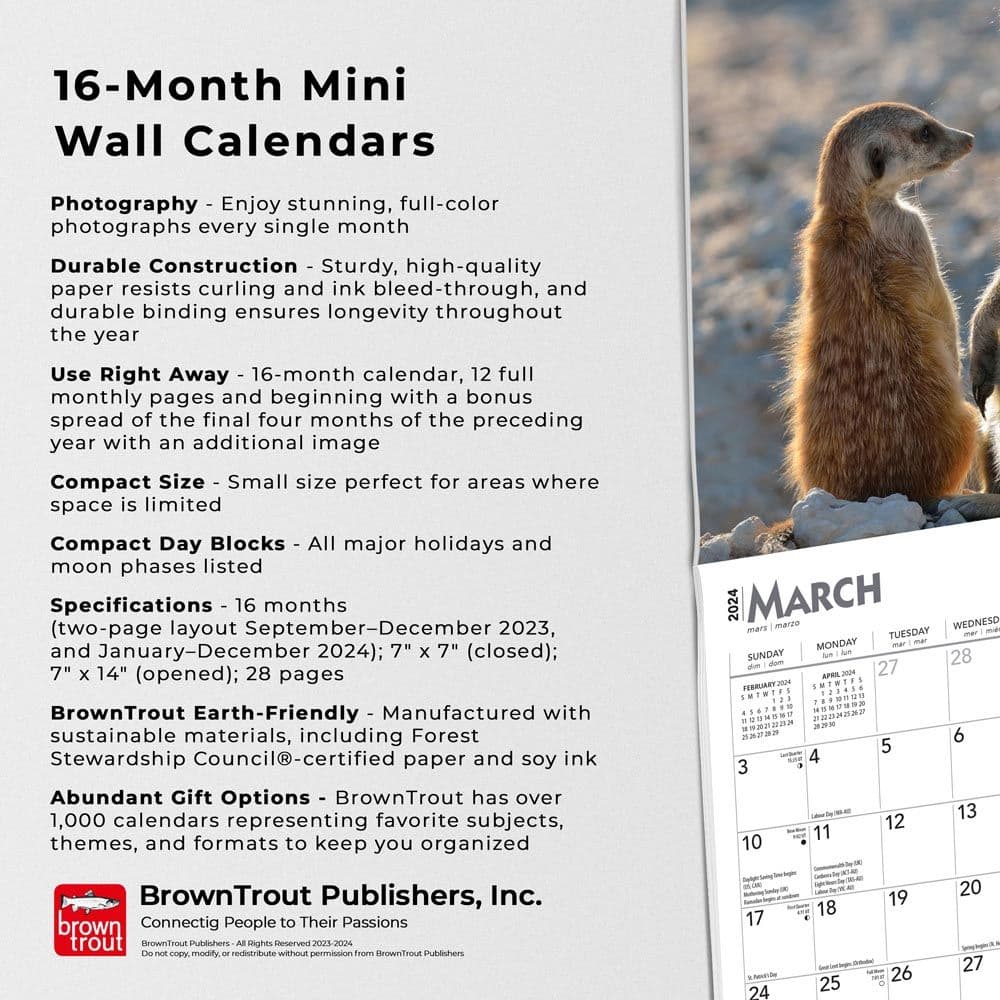 Meerkats 2024 Mini Wall Calendar Fourth Alternate Image width=&quot;1000&quot; height=&quot;1000&quot;