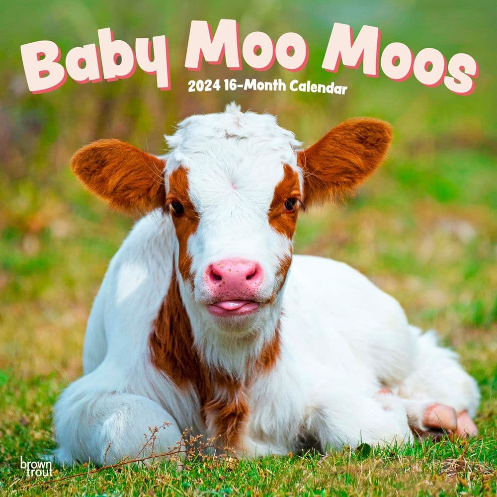 Baby Moo Moos 2024 Wall Calendar Main Product Image width=&quot;1000&quot; height=&quot;1000&quot;