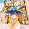 image Llama with no Drama 2025 Wall Calendar