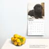 image Black Lab Retriever Puppies 2025 Wall Calendar Fourth Alternate Image width=&quot;1000&quot; height=&quot;1000&quot;