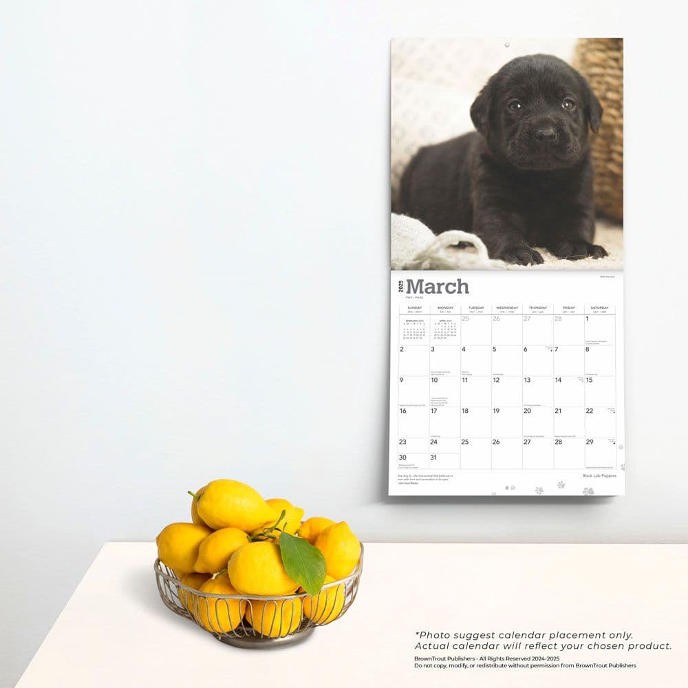 Black Lab Retriever Puppies 2025 Wall Calendar Fourth Alternate Image width=&quot;1000&quot; height=&quot;1000&quot;