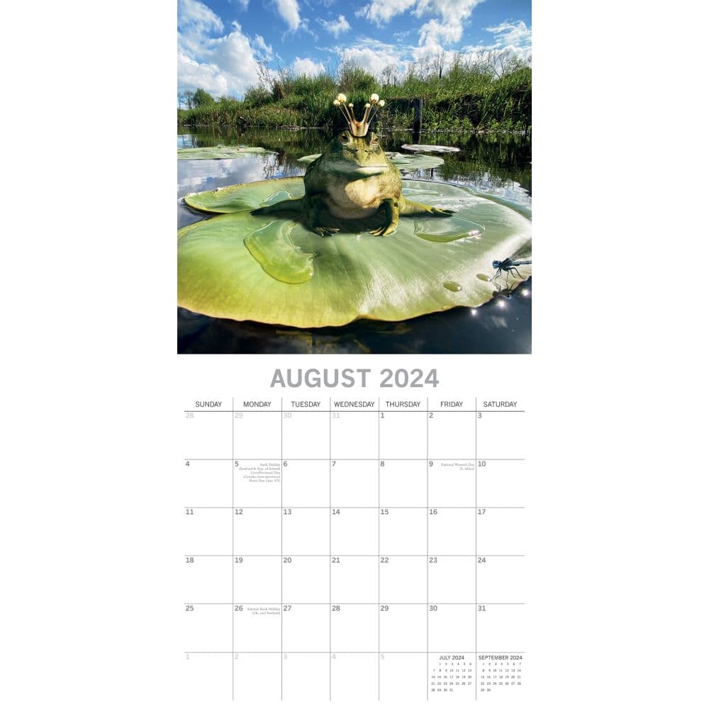 Fabulous Frogs 2024 Wall Calendar Calendars Com   Cdb5c16d 6663 421f 90cd Cff0486aeff6