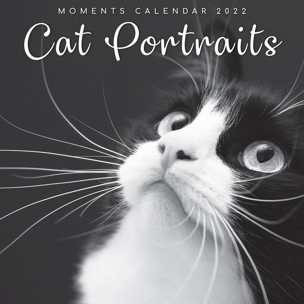 Cat Portraits 2022 Wall Calendar