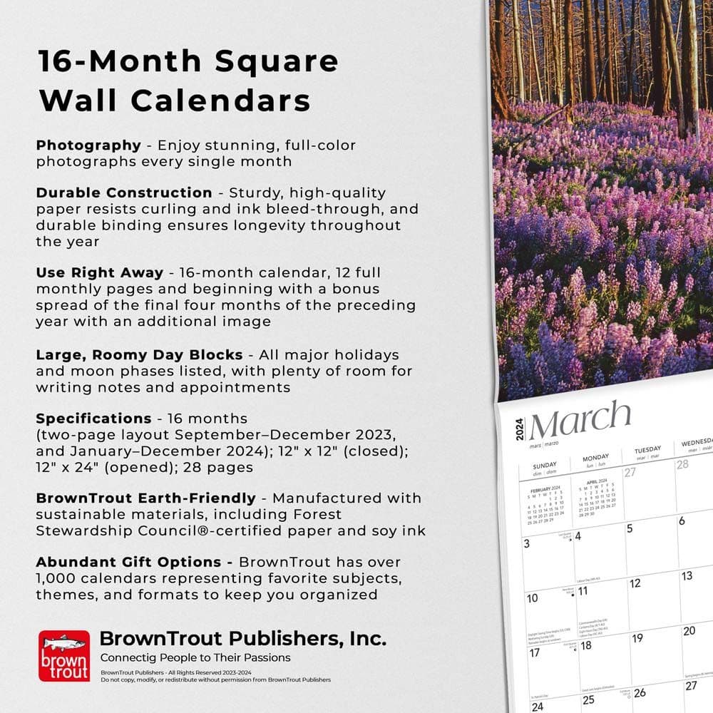 Cascades 2024 Wall Calendar