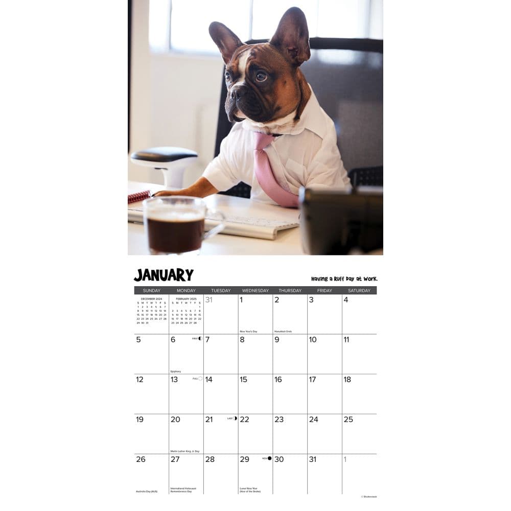 Pardon My Frenchie 2025 Wall Calendar Second Alternate Image width=&quot;1000&quot; height=&quot;1000&quot;