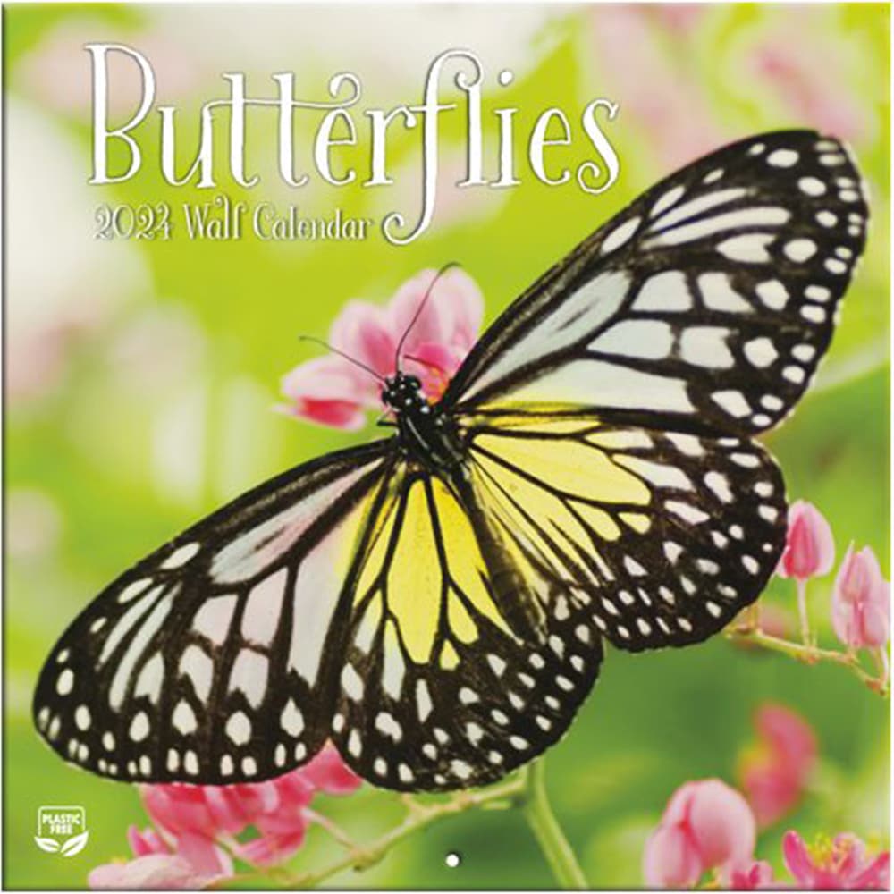 Butterflies 2024 Mini Wall Calendar Calendars Com   Cdd35398 Cc99 4b1b 8cec 055ee8e7e4bb