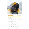 image Penguins 2025 Wall Calendar Fourth Alternate Image width=&quot;1000&quot; height=&quot;1000&quot;