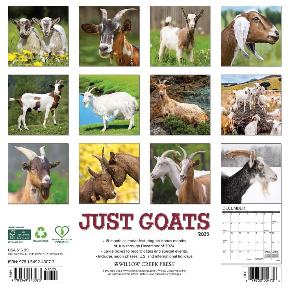 Goats 2025 Wall Calendar First Alternate Image width="1000" height="1000"