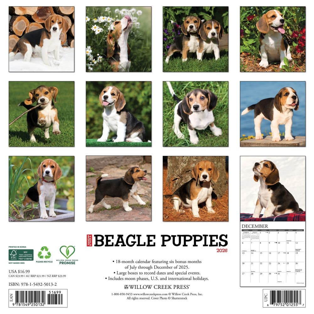 Just Beagle Puppies 2026 Wall Calendar First Alternate Image