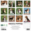 image Just Beagle Puppies 2026 Wall Calendar First Alternate Image