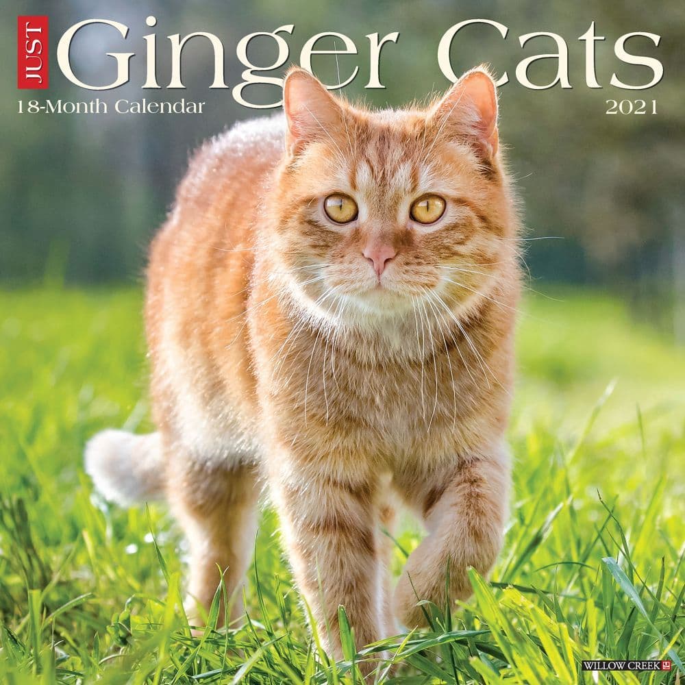 Ginger Cats Wall Calendar - Calendars.com