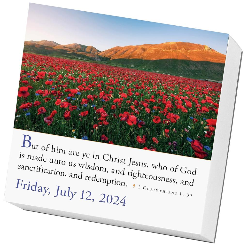 Bible Verses 2024 Desk Calendar July
