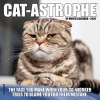 image Cat Astrophe 2026 Mini Wall Calendar Main Image
