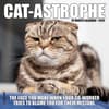 image Cat Astrophe 2026 Mini Wall Calendar Main Image