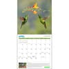 image Greenpeace 2025 Wall Calendar Second Alternate Image width=&quot;1000&quot; height=&quot;1000&quot;