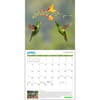 image Greenpeace 2025 Wall Calendar Second Alternate Image width=&quot;1000&quot; height=&quot;1000&quot;