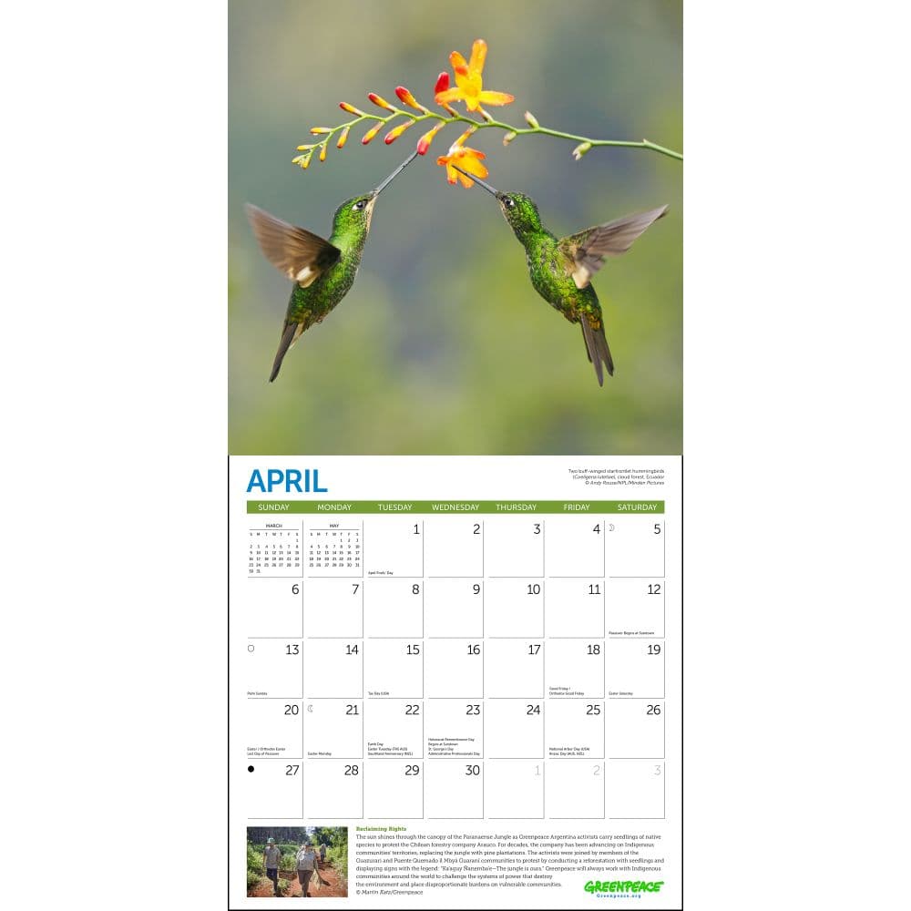 Greenpeace 2025 Wall Calendar Second Alternate Image width=&quot;1000&quot; height=&quot;1000&quot;