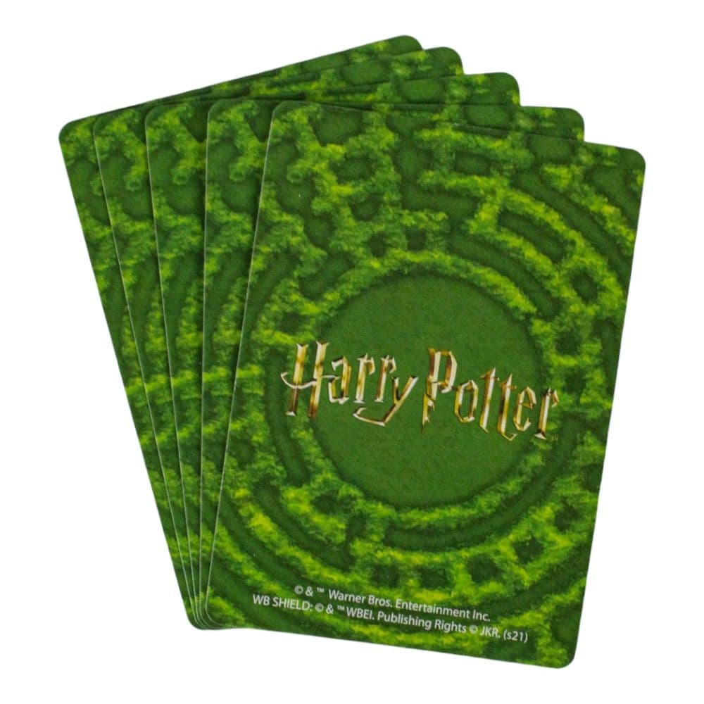 Harry Potter Tri-Wizard Maze Game Fifth Alternate Image