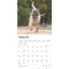 image Wheaten Terriers Soft Coated 2025 Wall Calendar Second Alternate