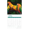 image Tropical Birds 2025 Wall Calendar Second Alternate Image width="1000" height="1000"