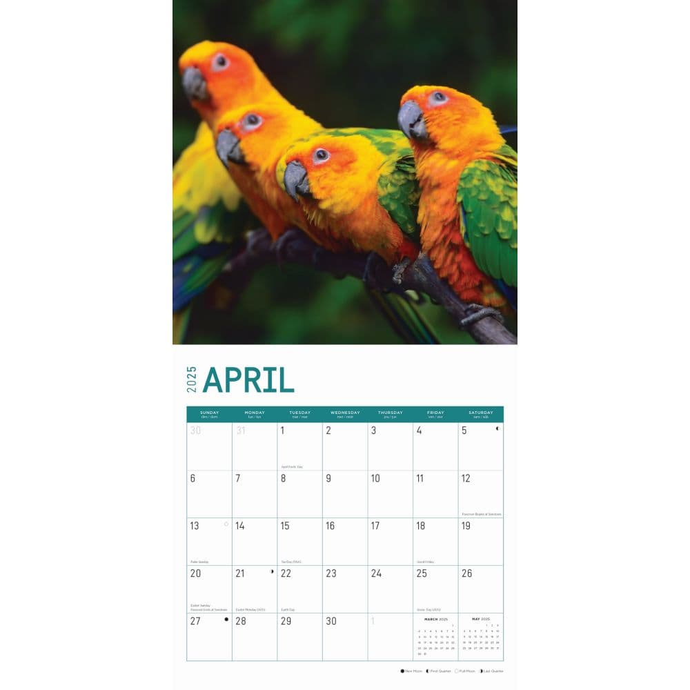 Tropical Birds 2025 Wall Calendar Second Alternate Image width="1000" height="1000"