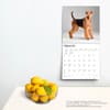 image Airedale Terriers 2024 Wall Calendar Third Alternate Image width=&quot;1000&quot; height=&quot;1000&quot;