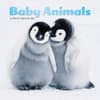 image Baby Animals Special Value 2026 Mini Wall Calendar Main Image