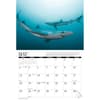 image Sharks 2025 Wall Calendar Alt2