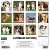 image Just Australian Shepherds 2024 Wall Calendar Alternate Image 1