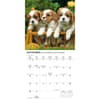 image Cavalier King Charles Puppies 2026 Mini Wall Calendar Fourth Alternate Image