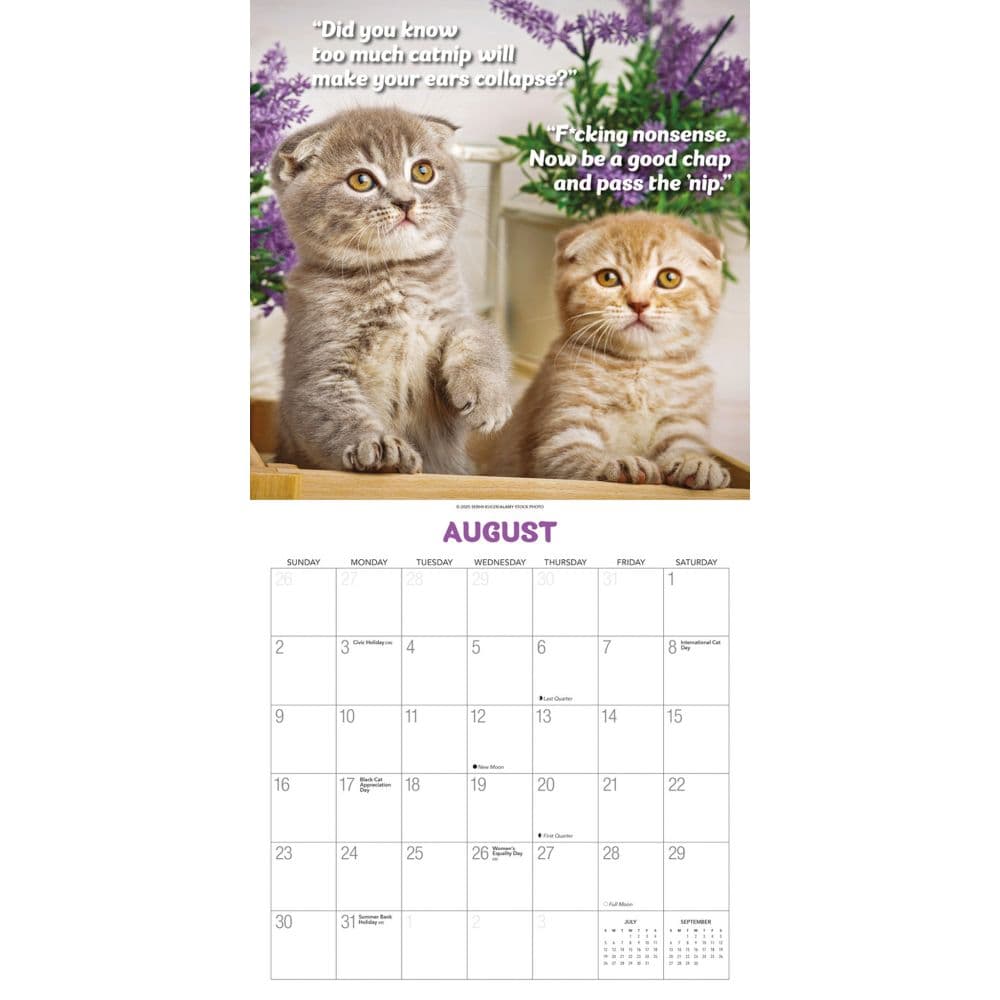 What the Fck Kitty 2026 Wall Calendar Third Alternate Image