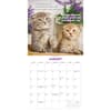image What the Fck Kitty 2026 Wall Calendar Third Alternate Image