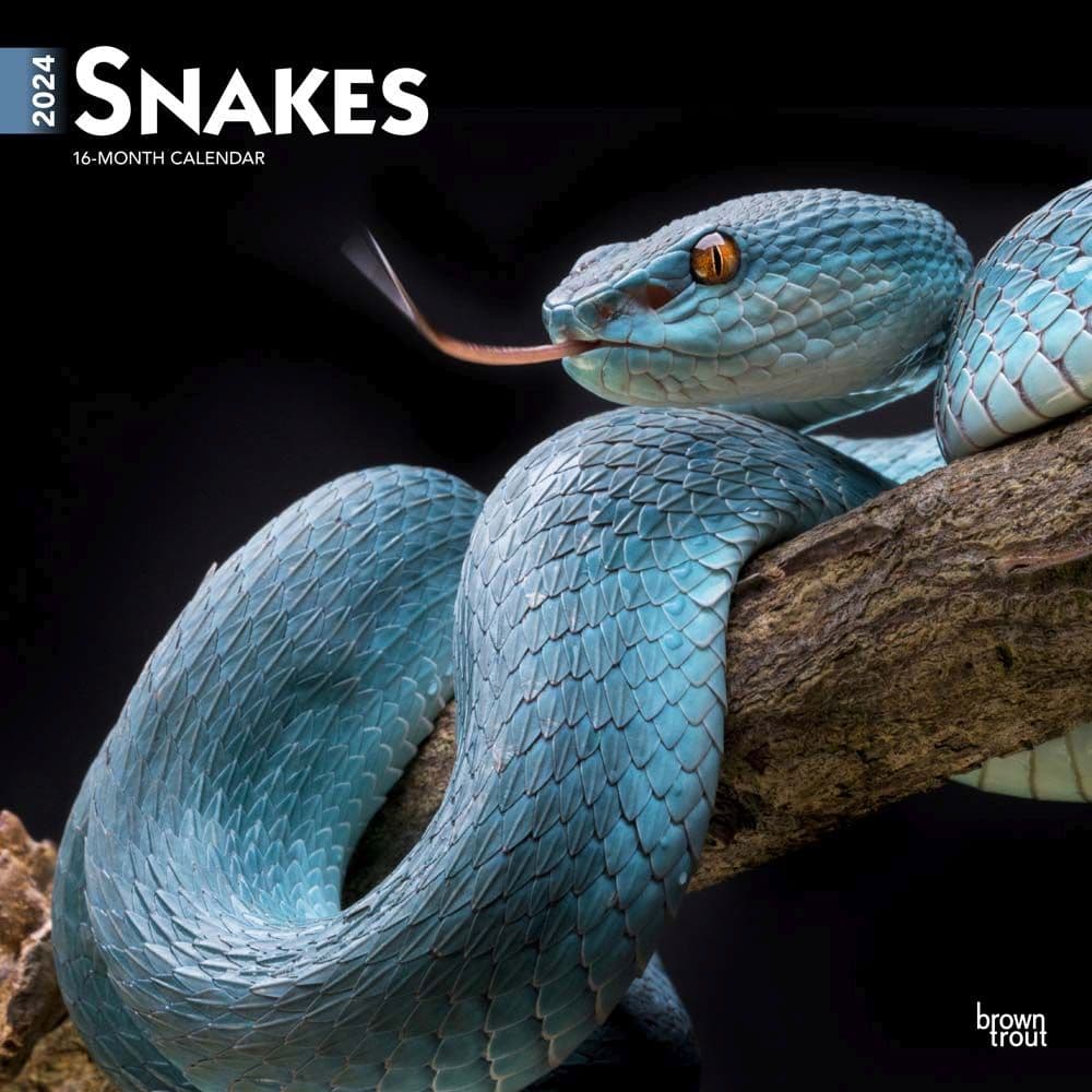 Snakes 2025 Wall Calendar