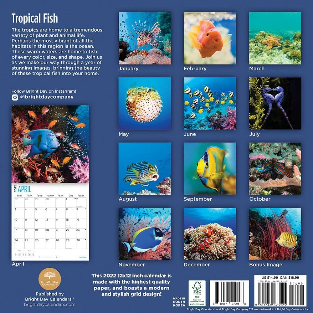 Tropical Fish 2022 Wall Calendar - Calendars.com