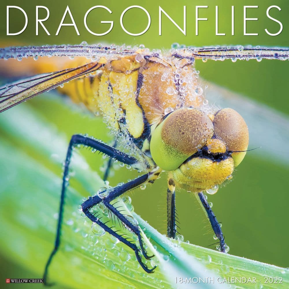 Dragonflies 2022 Wall Calendar