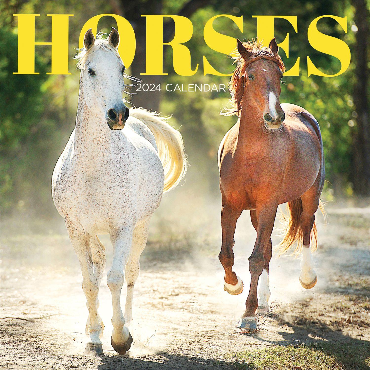 horse home decor catalogs        
        <figure class=